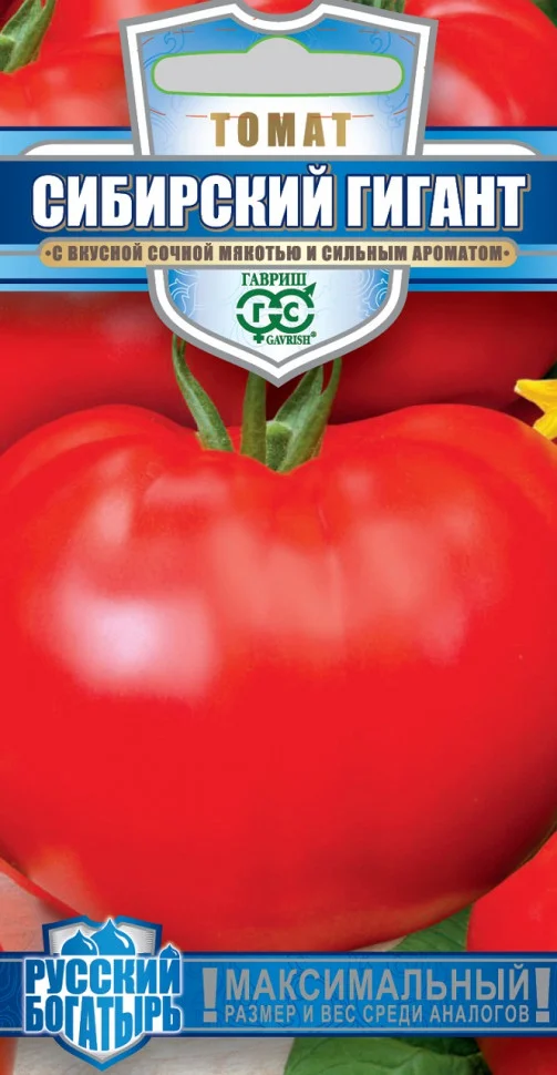 Сибирский гигант 