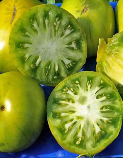 Миниатюра изображения сорта Сибирский конфитюр 