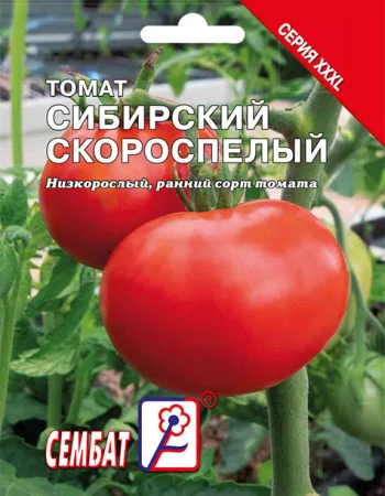 Миниатюра изображения сорта Сибирский скороспелый