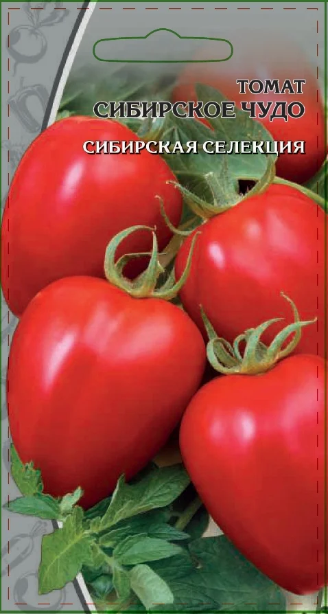 Миниатюра изображения сорта Сибирское чудо