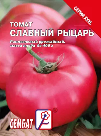 Славный рыцарь 