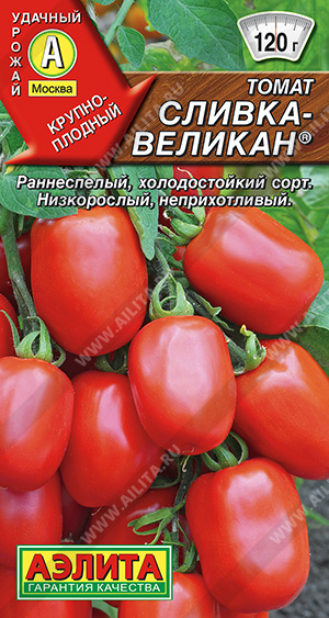 Сливка-великан