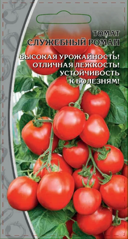 Служебный роман