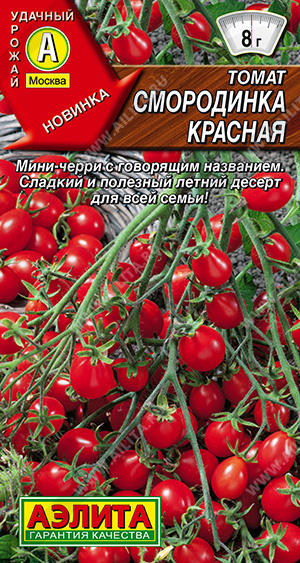 Смородинка красная