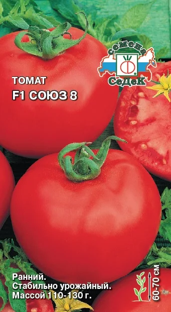 Миниатюра изображения сорта Союз 8 