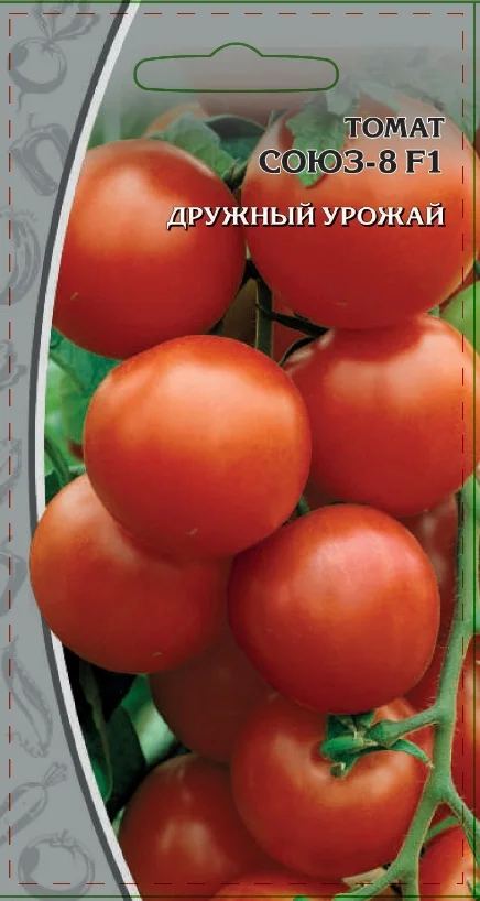 Миниатюра изображения сорта Союз 8 