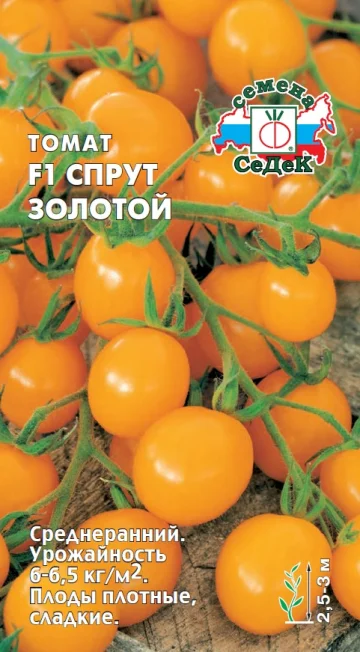 Спрут Золотой