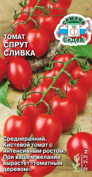 Спрут Сливка