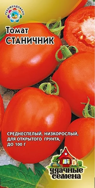 Станичник