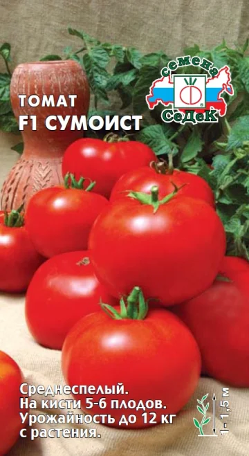 Сумоист