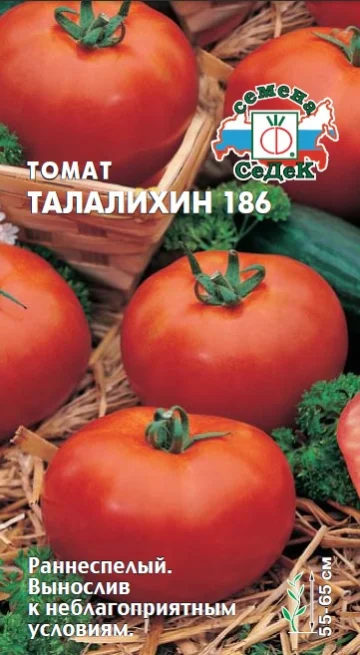 Талалихин 186