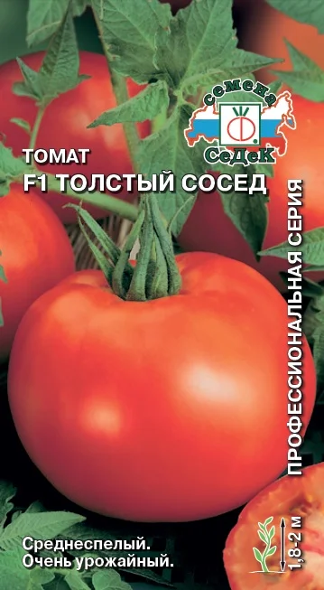 Толстый Сосед