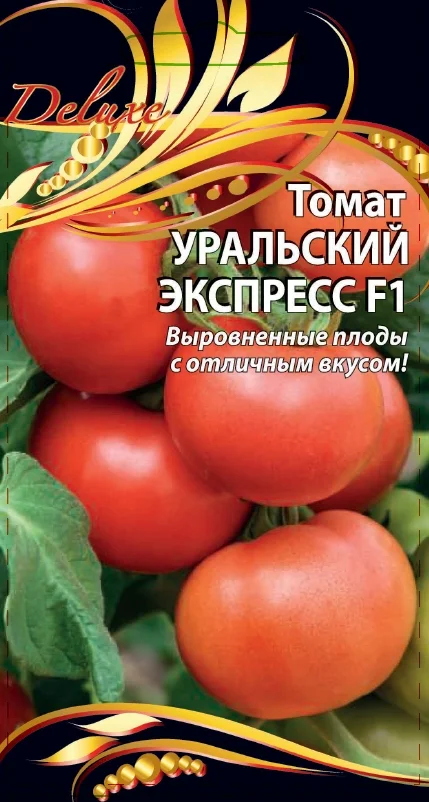 Уральский экспресс 