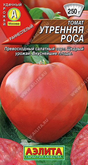 Утренняя роса