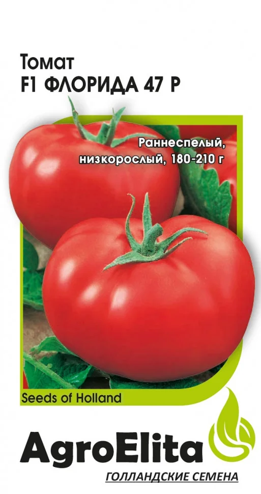 Флорида 47 Р