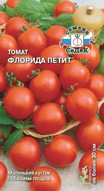 Флорида Петит