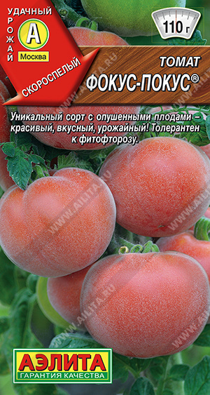Фокус-покус