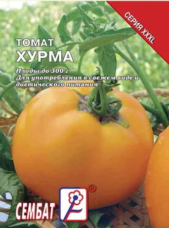 Миниатюра изображения сорта Хурма