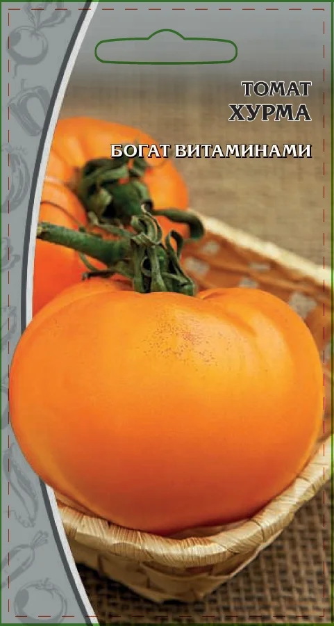 Миниатюра изображения сорта Хурма