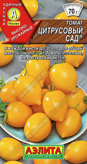 Цитрусовый сад