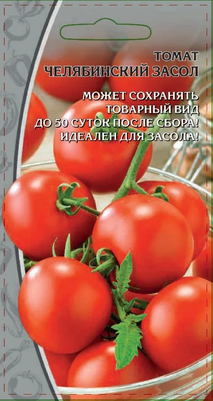 Челябинский засол