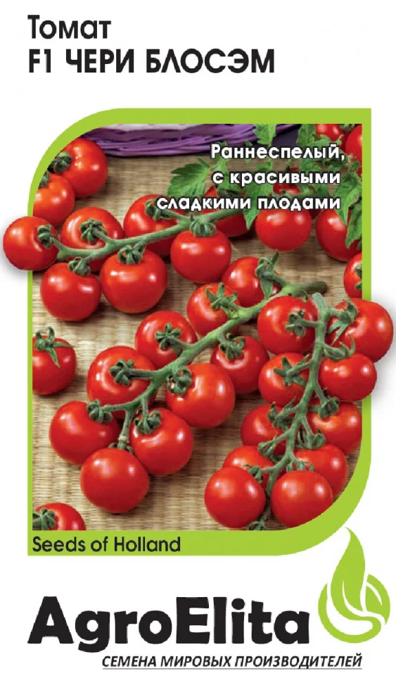 Чери Блосэм 