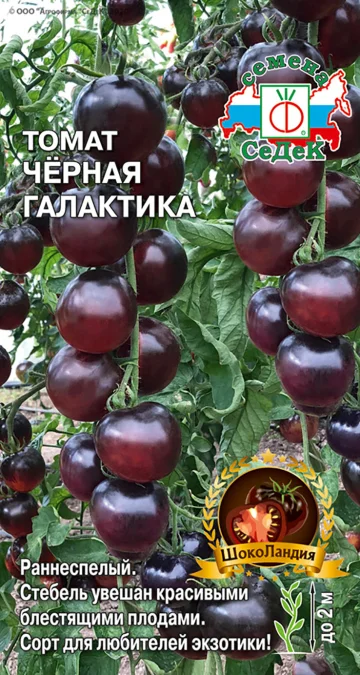 Черная Галактика