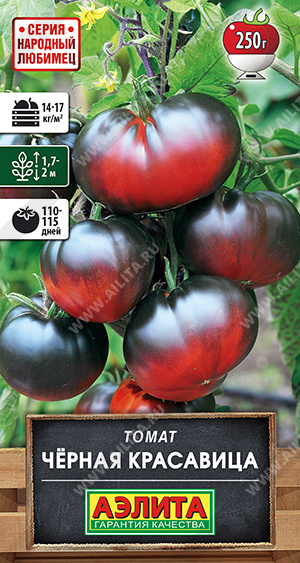 Черная красавица
