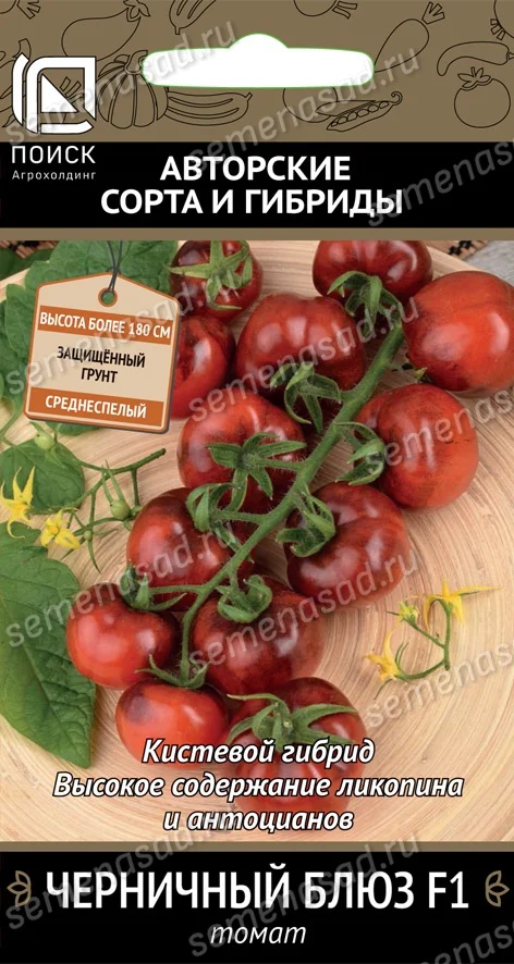 Черничный Блюз