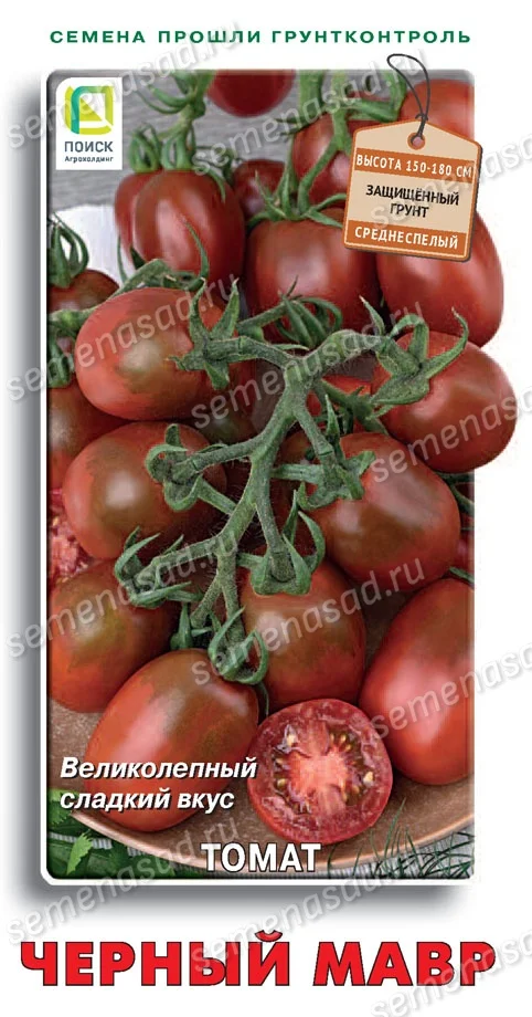 Миниатюра изображения сорта Черный Мавр