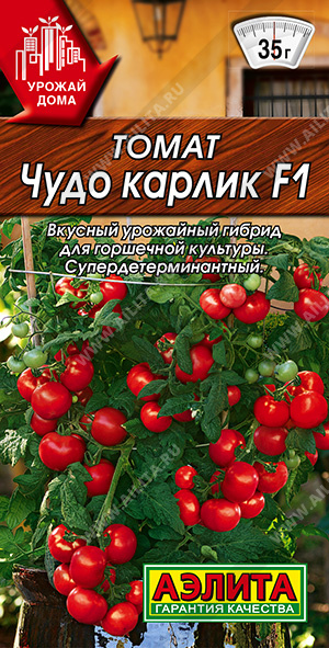 Чудо карлик 