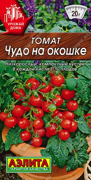 Чудо на окошке