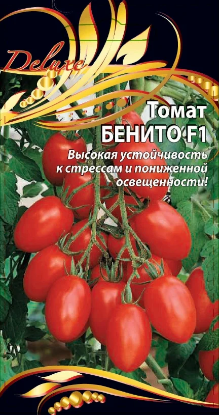 Миниатюра изображения сорта Бенито 