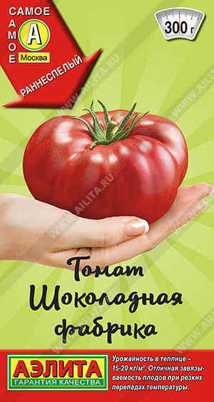 Шоколадная фабрика