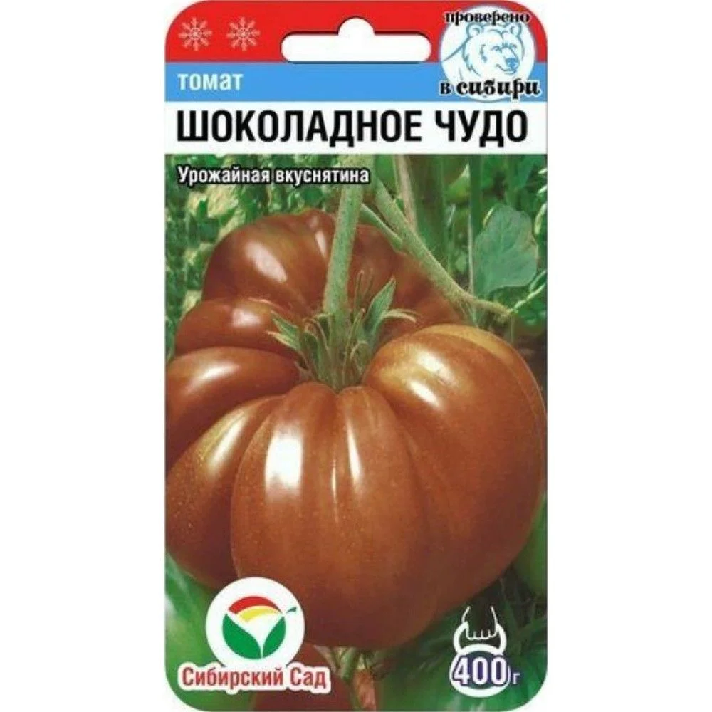 Миниатюра изображения сорта Шоколадное чудо