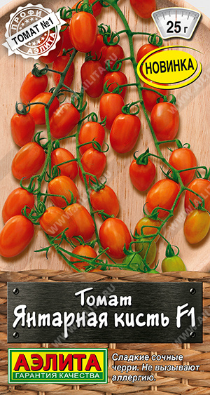 Янтарная кисть 