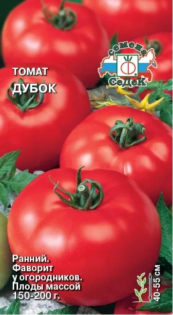 Миниатюра изображения сорта Дубок