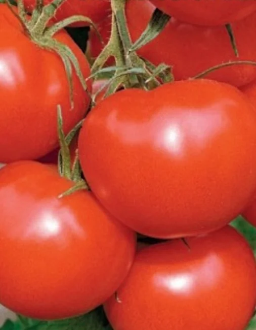 Геннадий Григорьевич