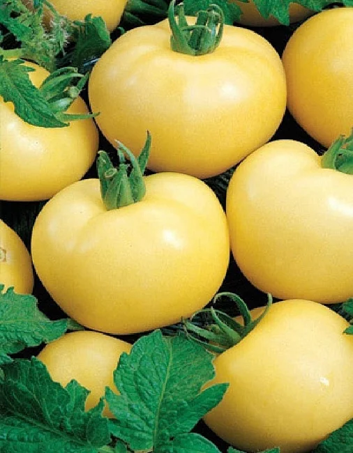 Долгохранящийся