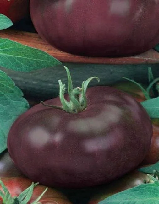 Жженый сахар (Карамель)