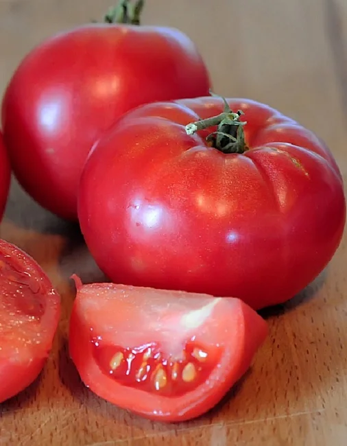 Краснокжий вождь