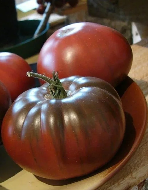 Мишка Косолапый шоколадный