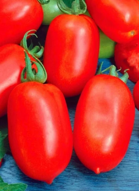 Русский Деликатес - засолочный