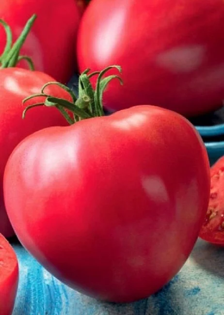 Сердце буйвола