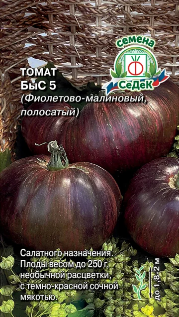 Быс 5 фиолетово-малиновый