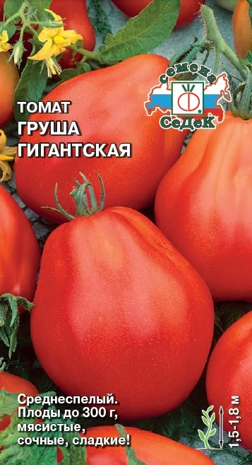 Груша гигантская