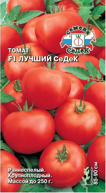 Лучший Седек