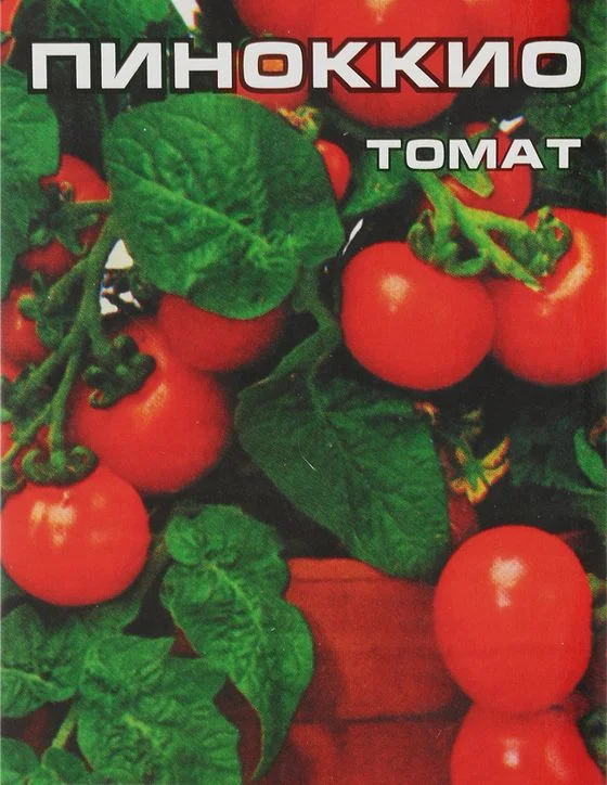 Миниатюра изображения сорта Пиноккио