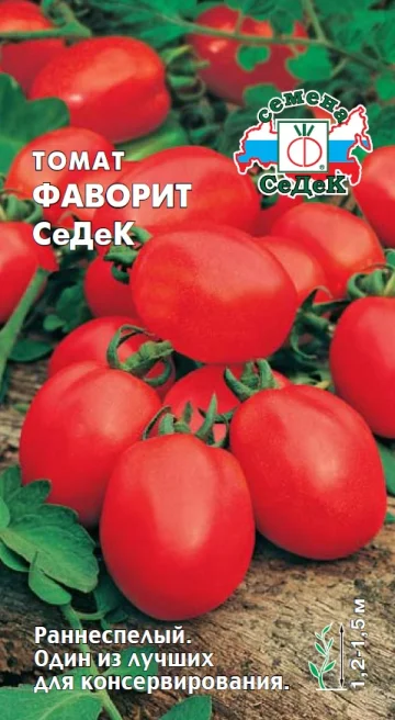 Фаворит Седек