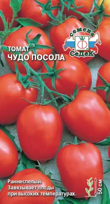 Чудо посола